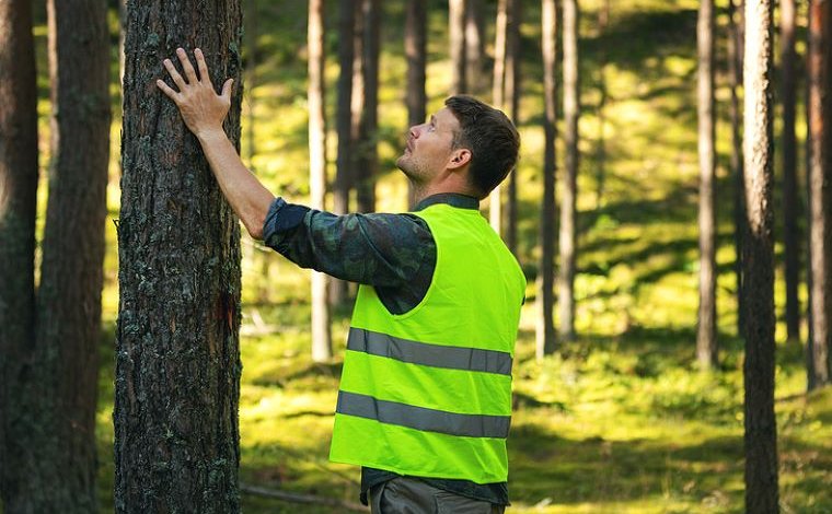 healthy forests